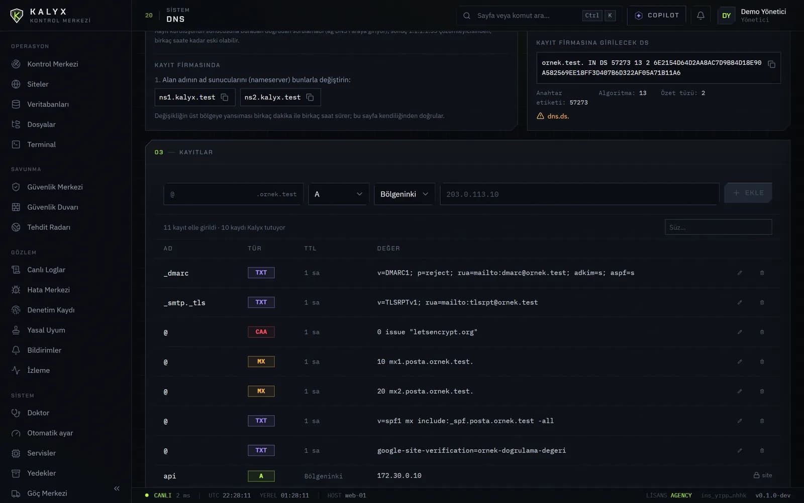 Gömülü DNS: bölge, kayıtlar ve DNSSEC