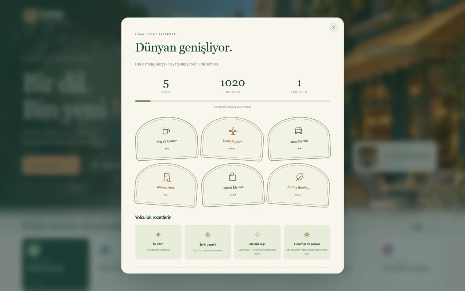 Keşif pasaportu: seviye, toplam puan, altı damga ve rozetler